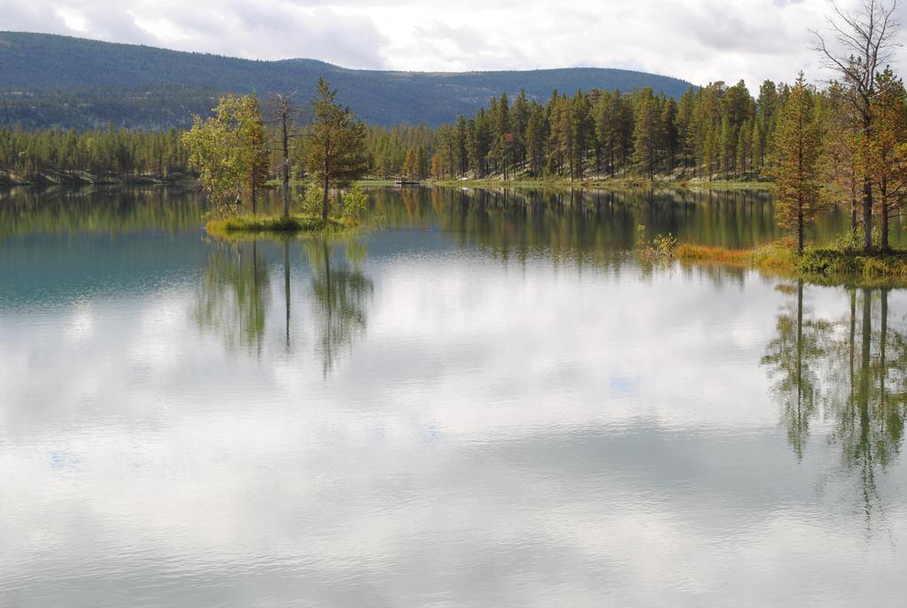 Lokken Fjellgard Villa Folldal Kültér fotó