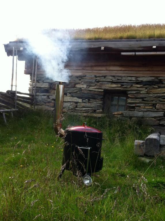 Lokken Fjellgard Villa Folldal Kültér fotó