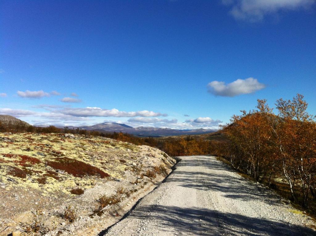 Lokken Fjellgard Villa Folldal Kültér fotó