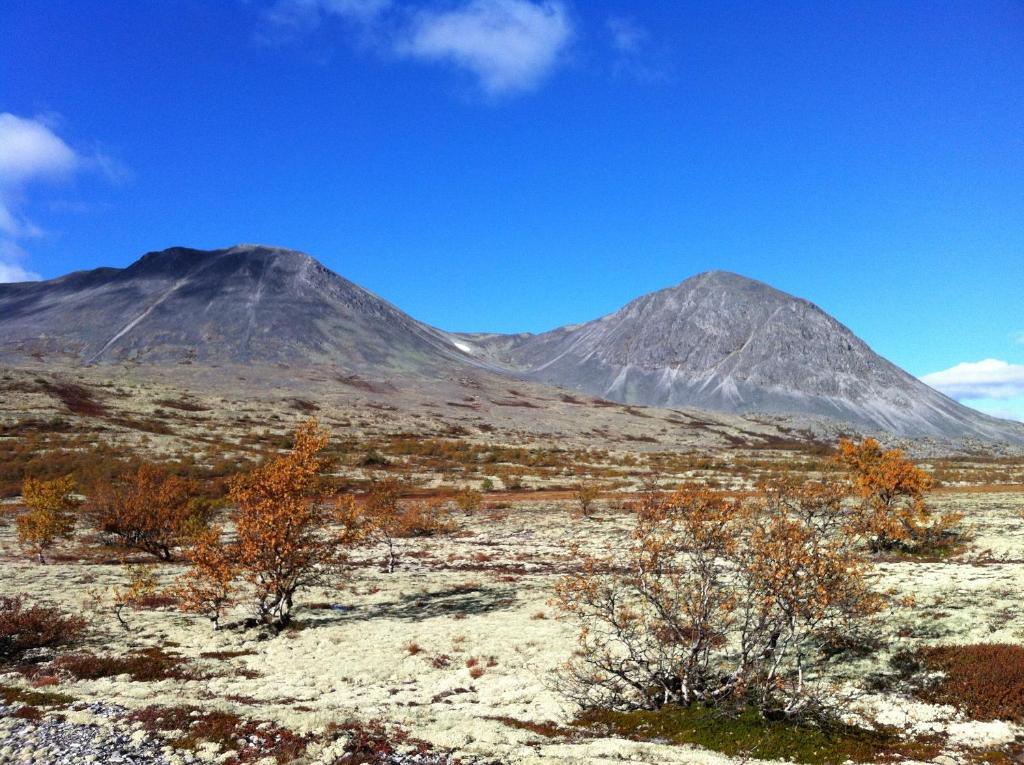 Lokken Fjellgard Villa Folldal Kültér fotó