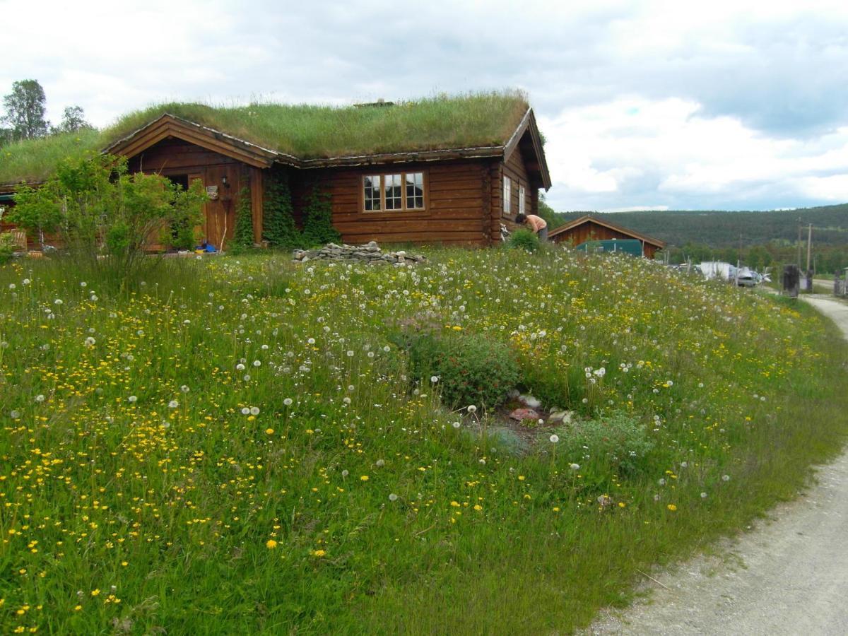 Lokken Fjellgard Villa Folldal Kültér fotó